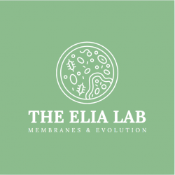 the Elia lab