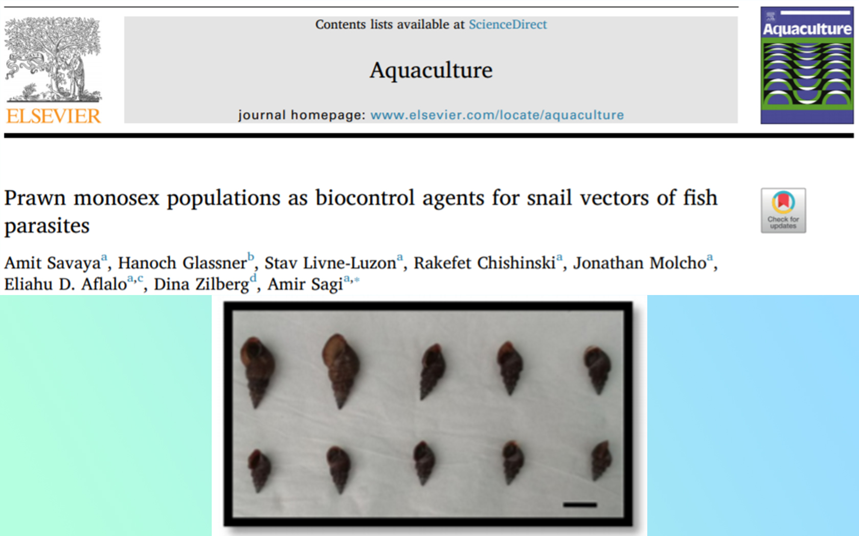 Congratulations to Amit on his publication of using prawn monosex populations as bio-control agents over snail vectors of fish parasites