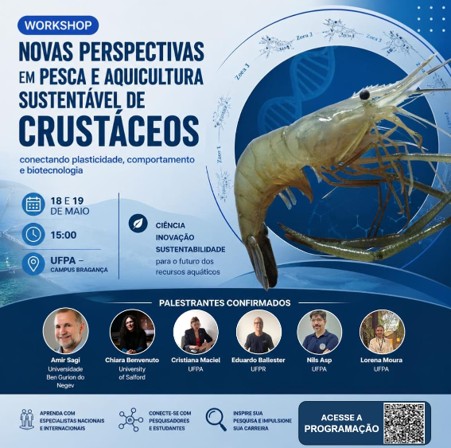 workshop brazil